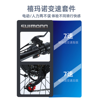 電気 新型電気自転車 マウンテンバイク 大人向け レトロオフロード 変速ブースター 電動自転車