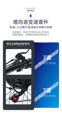 電気 新型電気自転車 マウンテンバイク 大人向け レトロオフロード 変速ブースター 電動自転車