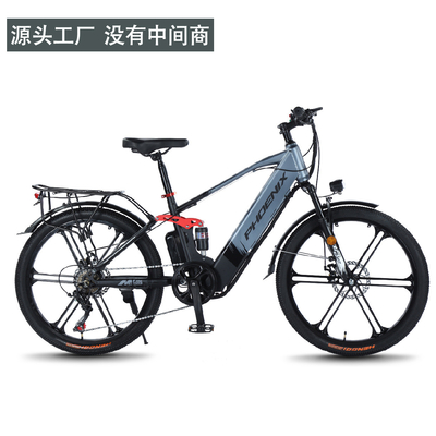 電気 新型電気自転車 マウンテンバイク 大人向け レトロオフロード 変速ブースター 電動自転車
