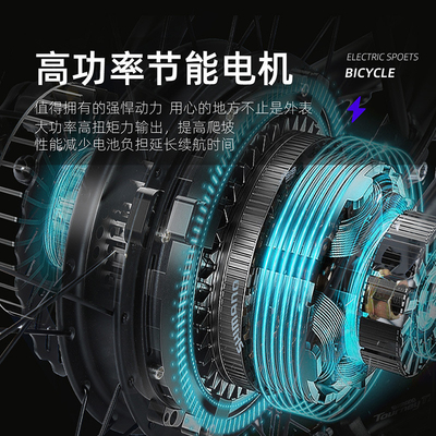 電気 新型電気自転車 マウンテンバイク 大人向け レトロオフロード 変速ブースター 電動自転車