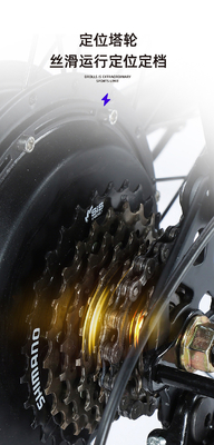 電気 新型電気自転車 マウンテンバイク 大人向け レトロオフロード 変速ブースター 電動自転車