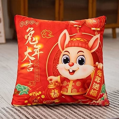 ワニの年 マスコット 赤い大きな枕 ワニの年 クリート 40*40cm