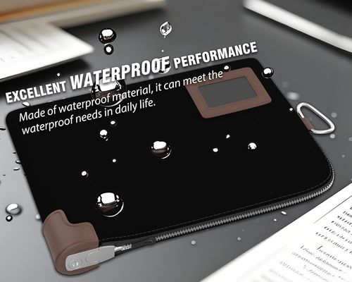 現金バッグ、南京錠付き公証人バッグ、鍵2本、防水ドキュメントポーチ、ファスナー付きマネーポーチ、11.7 X 8.3インチ、預金バッグとトラベルウォレットはパスポート、現金、小切手、クレジットカードを保護